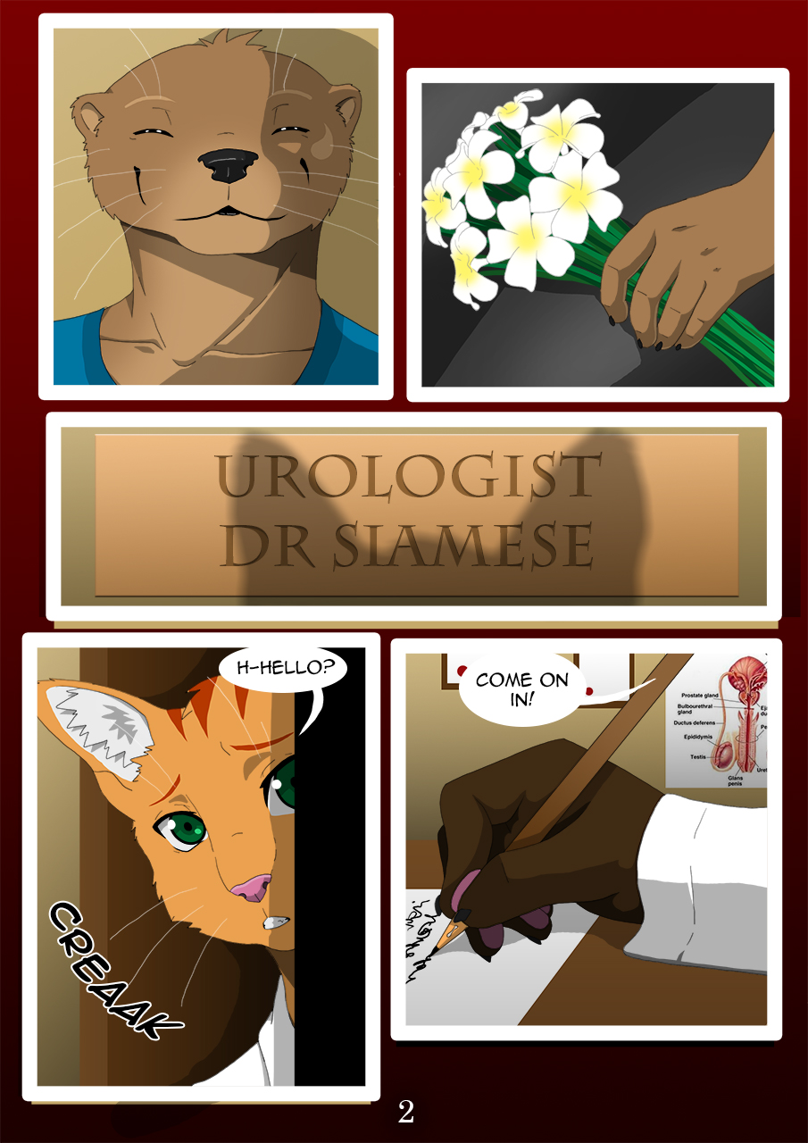 Page 41